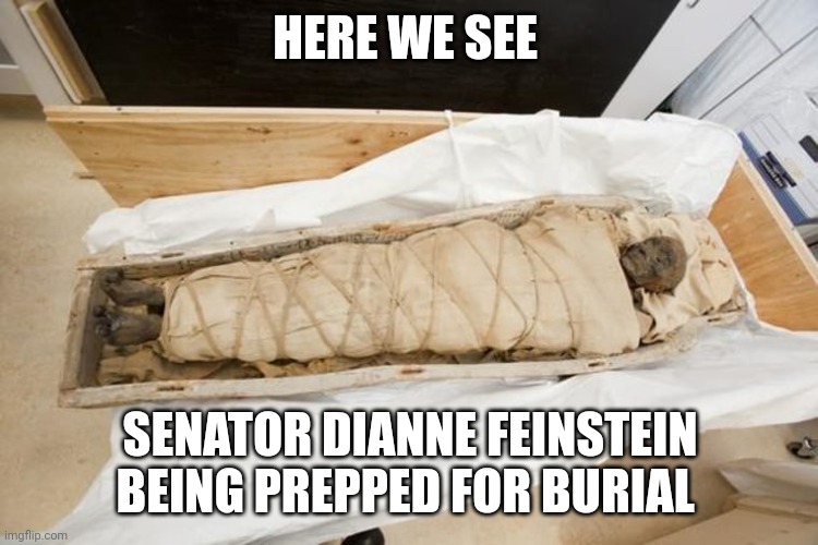 Dianne Feinstein | HERE WE SEE; SENATOR DIANNE FEINSTEIN BEING PREPPED FOR BURIAL | image tagged in political meme | made w/ Imgflip meme maker