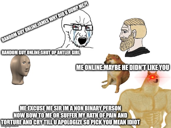 Online | RANDOM GUY ONLINE:JAMES WHY DID U DUMP ME?! RANDOM GUY ONLINE:SHUT UP ANTLER GIRL; ME ONLINE:MAYBE HE DIDN'T LIKE YOU; ME:EXCUSE ME SIR IM A NON BINARY PERSON NOW BOW TO ME OR SUFFER MY RATH OF PAIN AND TORTURE AND CRY TILL U APOLOGIZE SO PICK YOU MEAN IDIOT | image tagged in blank white template | made w/ Imgflip meme maker