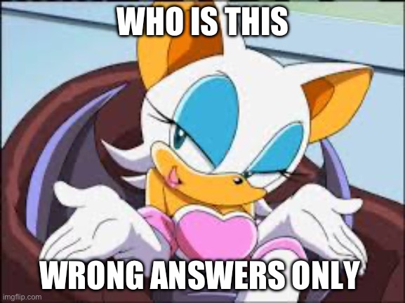 Rouge the Bat | WHO IS THIS; WRONG ANSWERS ONLY | image tagged in rouge the bat | made w/ Imgflip meme maker