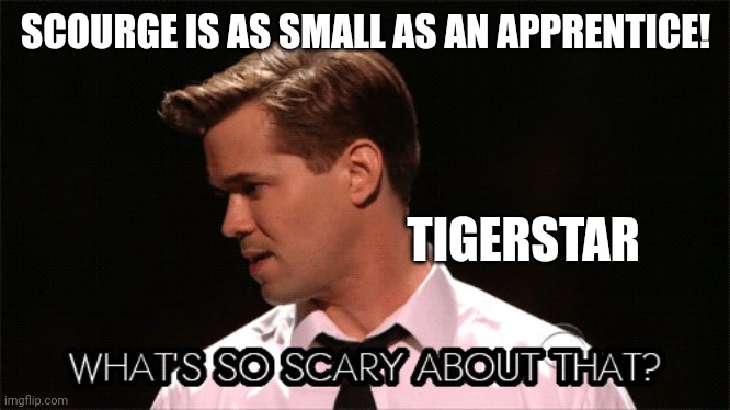 Tigerstar things Scourge is useless | SCOURGE IS AS SMALL AS AN APPRENTICE! TIGERSTAR | image tagged in what's so scary about that,warrior cats,wut | made w/ Imgflip meme maker