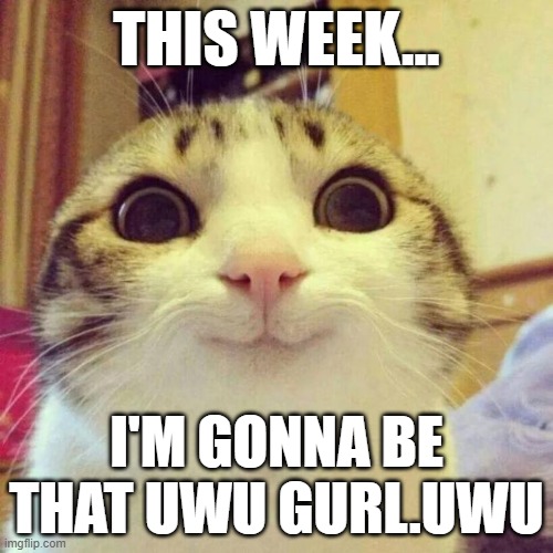 It IS a joke. But I will do it...? | THIS WEEK... I'M GONNA BE THAT UWU GURL.UWU | image tagged in memes,smiling cat | made w/ Imgflip meme maker