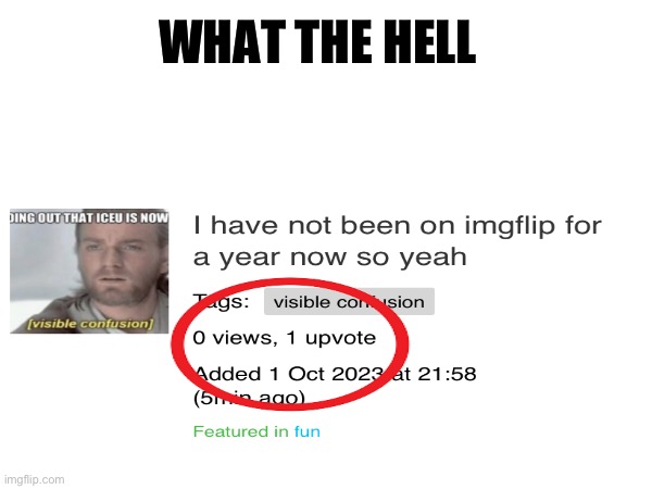 No one viewed but it is upvoted?! | WHAT THE HELL | image tagged in visible confusion | made w/ Imgflip meme maker