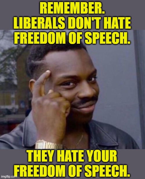 It hurts their feelings | REMEMBER. LIBERALS DON'T HATE FREEDOM OF SPEECH. THEY HATE YOUR FREEDOM OF SPEECH. | image tagged in political memes,liberals,freedom of speech,memes | made w/ Imgflip meme maker