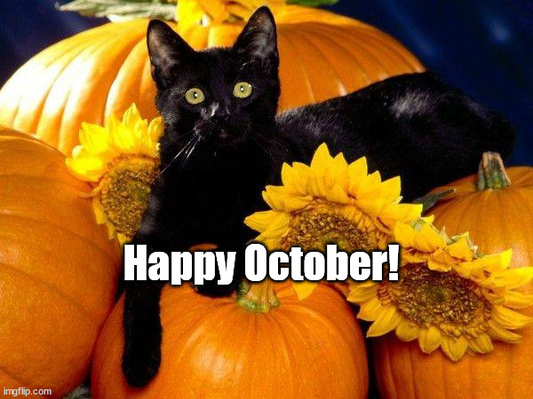 happy october | Happy October! | image tagged in black cat,fall,pumpkins | made w/ Imgflip meme maker