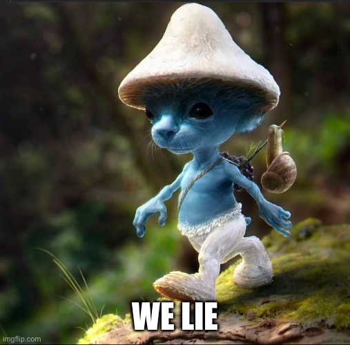 Blue Smurf Cat | WE LIE | image tagged in blue smurf cat | made w/ Imgflip meme maker