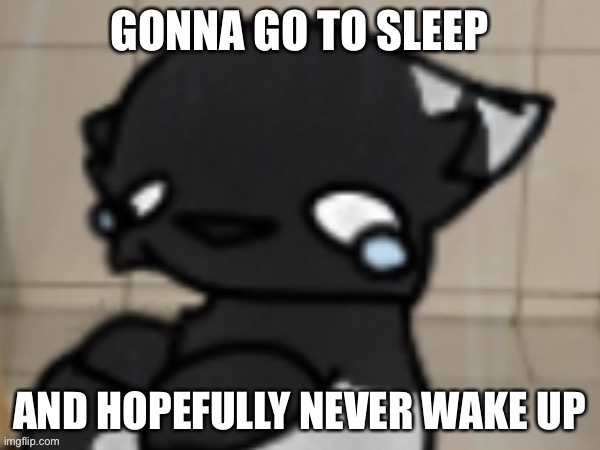 Why do i feel like this again? Because i made an assumption about something  and im really scared that its true | GONNA GO TO SLEEP; AND HOPEFULLY NEVER WAKE UP | image tagged in crying darkio | made w/ Imgflip meme maker