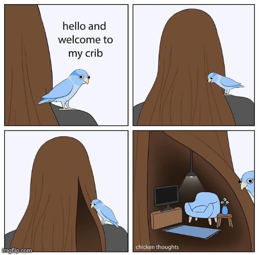 A hairy home | image tagged in hair,hairy,home,bird,comics,comics/cartoons | made w/ Imgflip meme maker