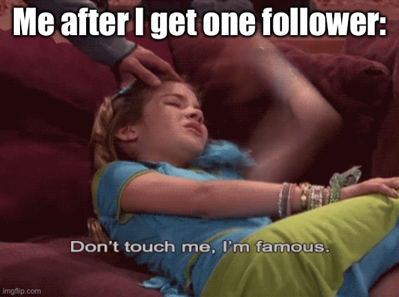 Don't Touch me I'm famous | Me after I get one follower: | image tagged in don't touch me i'm famous | made w/ Imgflip meme maker