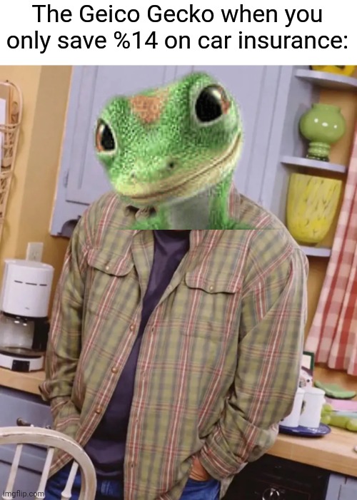 That's false advertising! | The Geico Gecko when you only save %14 on car insurance: | image tagged in kevin james shrug,memes,geico,geico gecko | made w/ Imgflip meme maker