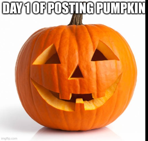 pumpkin day 1 | DAY 1 OF POSTING PUMPKIN | image tagged in pumkin | made w/ Imgflip meme maker