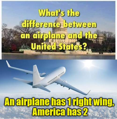 An airplane has 1 right wing,
 America has 2 | image tagged in america,republicans,democrats,capitalism,united states of america | made w/ Imgflip meme maker