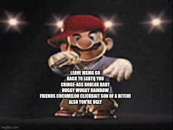Gangsta Mario | LEAVE MSMG GO BACK TO LGBTQ YOU CRINGE-ASS ROBLOX BABY HUGGY WUGGY RAINBOW FRIENDS COCOMELON CLICKBAIT SON OF A BITCH!

ALSO YOU'RE UGLY | image tagged in gangsta mario | made w/ Imgflip meme maker