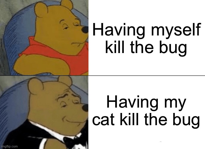 So much less extra effort! | Having myself kill the bug; Having my cat kill the bug | image tagged in memes,tuxedo winnie the pooh,killing bugs,bugs,relatable | made w/ Imgflip meme maker