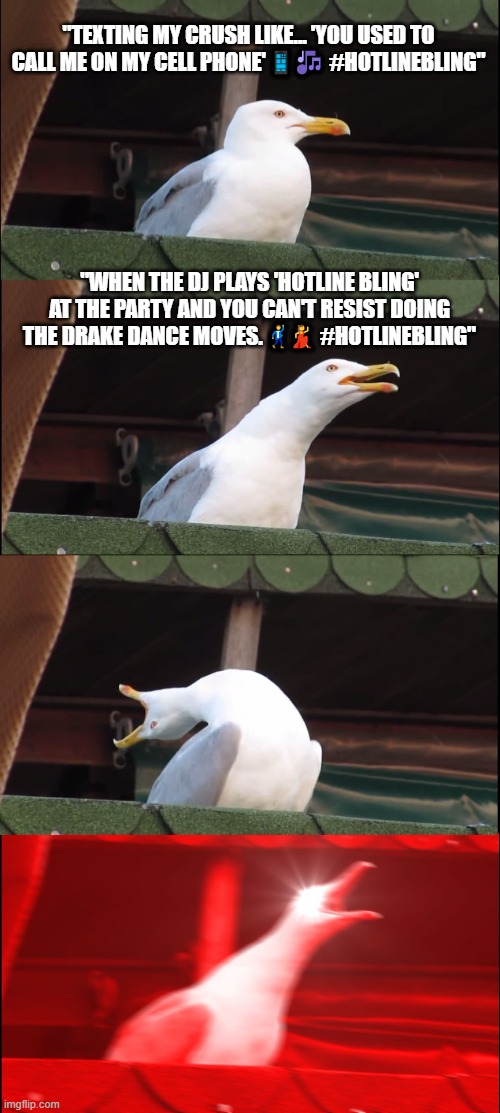 Inhaling Seagull | "TEXTING MY CRUSH LIKE... 'YOU USED TO CALL ME ON MY CELL PHONE' 📱🎶 #HOTLINEBLING"; "WHEN THE DJ PLAYS 'HOTLINE BLING' AT THE PARTY AND YOU CAN'T RESIST DOING THE DRAKE DANCE MOVES. 🕺💃 #HOTLINEBLING" | image tagged in memes,inhaling seagull | made w/ Imgflip meme maker