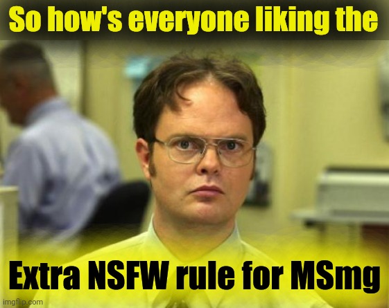 Was thinking about adding some descriptions of imagery to the Extra NSFW rule for MSmg | So how's everyone liking the; Extra NSFW rule for MSmg | image tagged in memes,dwight schrute | made w/ Imgflip meme maker