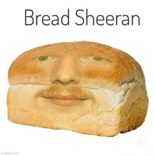 Bread Sheeran | image tagged in bread sheeran | made w/ Imgflip meme maker