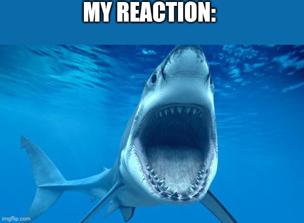 shark open mouth | MY REACTION: | image tagged in shark open mouth | made w/ Imgflip meme maker