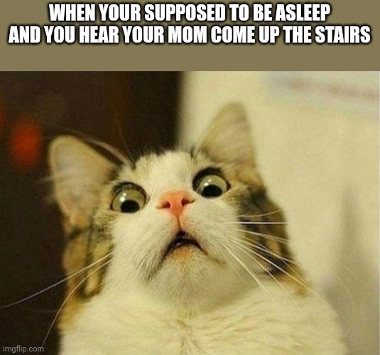 Scared Cat | WHEN YOUR SUPPOSED TO BE ASLEEP AND YOU HEAR YOUR MOM COME UP THE STAIRS | image tagged in memes,scared cat | made w/ Imgflip meme maker