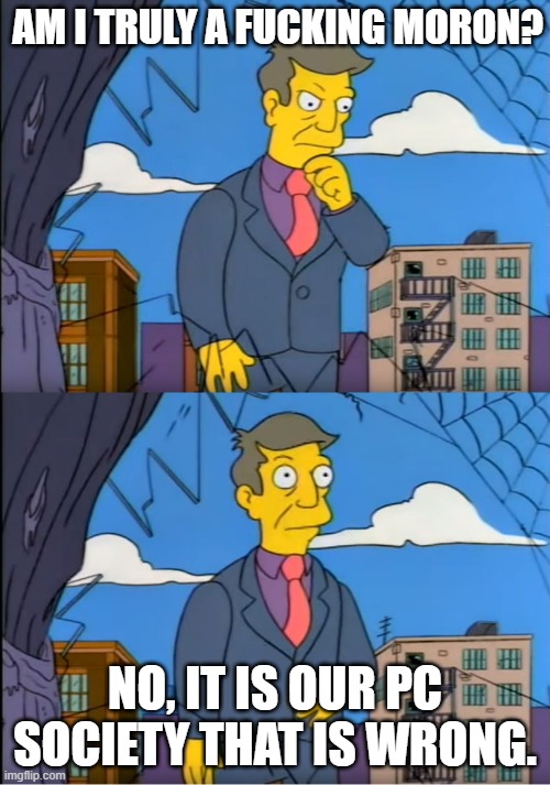 Skinner Out Of Touch | AM I TRULY A FUCKING MORON? NO, IT IS OUR PC SOCIETY THAT IS WRONG. | image tagged in skinner out of touch | made w/ Imgflip meme maker