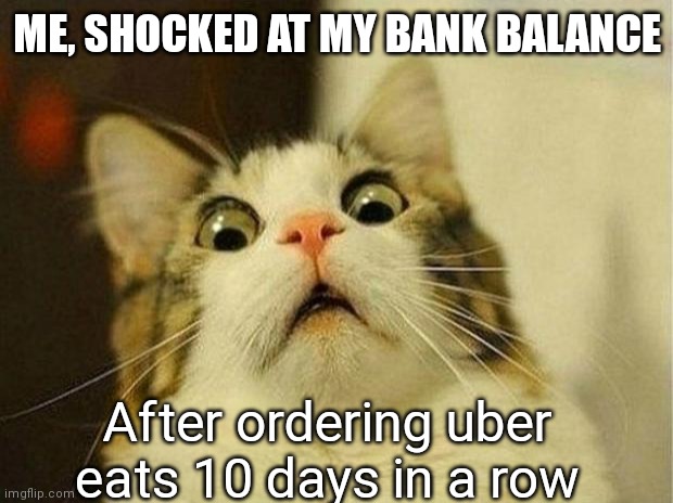 Oh wow | ME, SHOCKED AT MY BANK BALANCE; After ordering uber eats 10 days in a row | image tagged in memes,scared cat | made w/ Imgflip meme maker