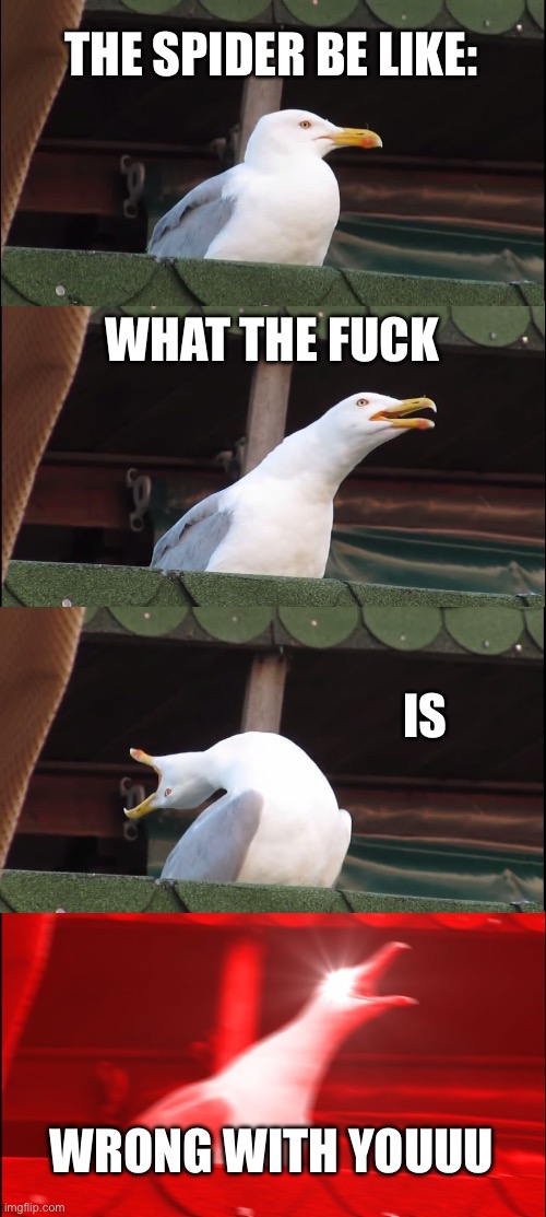 Inhaling Seagull Meme | THE SPIDER BE LIKE: WHAT THE FUCK IS WRONG WITH YOUUU | image tagged in memes,inhaling seagull | made w/ Imgflip meme maker