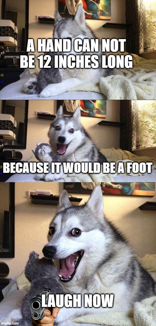 Bad Pun Dog | A HAND CAN NOT BE 12 INCHES LONG; BECAUSE IT WOULD BE A FOOT; LAUGH NOW | image tagged in memes,bad pun dog | made w/ Imgflip meme maker