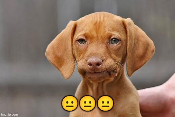 Dissapointed puppy | ??? | image tagged in dissapointed puppy | made w/ Imgflip meme maker