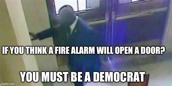 The Democrat intelligence bar is so low……it’s now a speed bump | IF YOU THINK A FIRE ALARM WILL OPEN A DOOR? YOU MUST BE A DEMOCRAT | image tagged in democrats,losers,incompetence | made w/ Imgflip meme maker