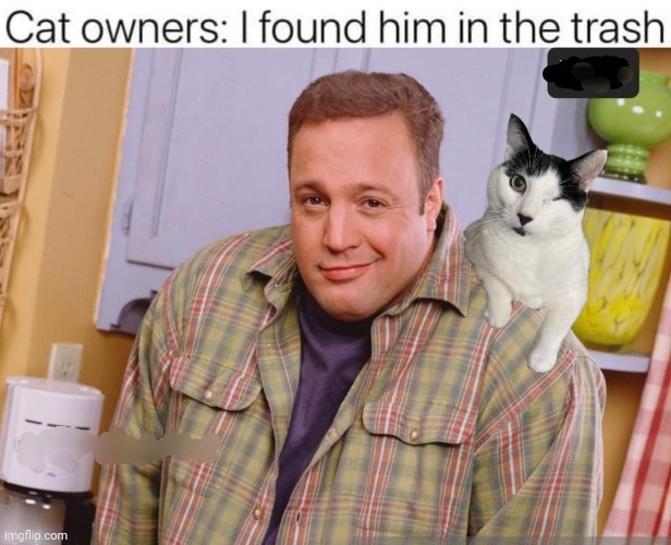 Cat | image tagged in kevin james | made w/ Imgflip meme maker