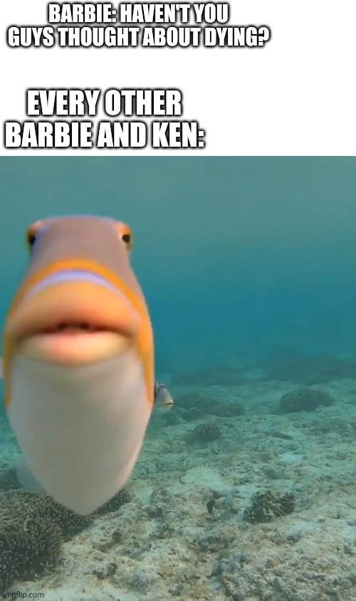 Barbie movie overrated | BARBIE: HAVEN'T YOU GUYS THOUGHT ABOUT DYING? EVERY OTHER BARBIE AND KEN: | image tagged in staring fish,fish,funny,strange,barbie movie | made w/ Imgflip meme maker