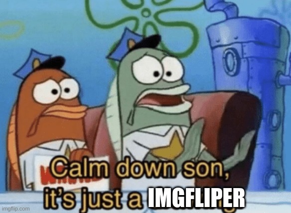 Calm Down, Son. It's Just A Drawing. | IMGFLIPER | image tagged in calm down son it's just a drawing | made w/ Imgflip meme maker