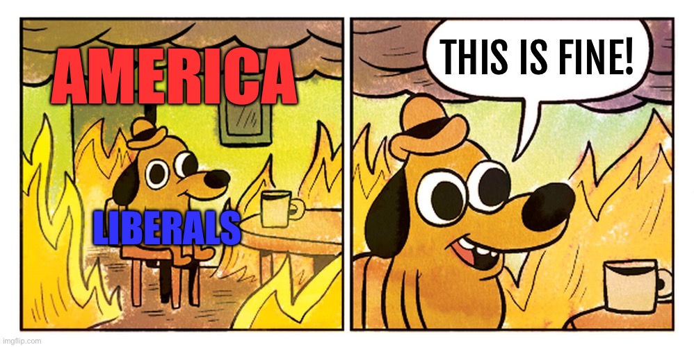 this if fine but blank | THIS IS FINE! AMERICA; LIBERALS | image tagged in this if fine but blank,republicans,donald trump,economy,maga,joe biden | made w/ Imgflip meme maker