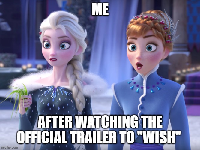 Elsa and Anna SHOCKED! | ME; AFTER WATCHING THE OFFICIAL TRAILER TO "WISH" | image tagged in elsa and anna shocked | made w/ Imgflip meme maker