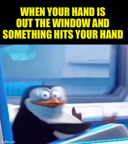 Ah shi | WHEN YOUR HAND IS OUT THE WINDOW AND SOMETHING HITS YOUR HAND | image tagged in uh oh,fresh memes,funny,memes | made w/ Imgflip meme maker