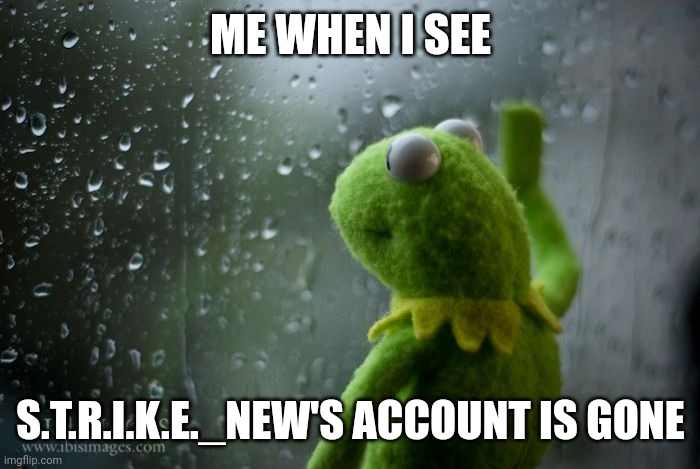 Farewell, my good compadre, farewell. | ME WHEN I SEE; S.T.R.I.K.E._NEW'S ACCOUNT IS GONE | image tagged in kermit window | made w/ Imgflip meme maker