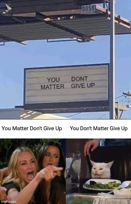 You Matter Don't Give Up; You Don't Matter Give Up | image tagged in memes,woman yelling at cat | made w/ Imgflip meme maker