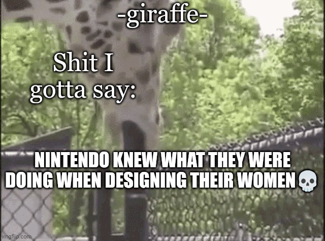 -giraffe- | NINTENDO KNEW WHAT THEY WERE DOING WHEN DESIGNING THEIR WOMEN💀 | image tagged in -giraffe- | made w/ Imgflip meme maker