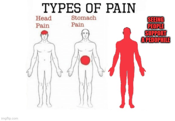 Types of Pain | SEEING PEOPLE SUPPORT A PEDOPHILE | image tagged in types of pain | made w/ Imgflip meme maker