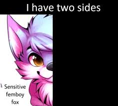 I have two sides Blank Meme Template