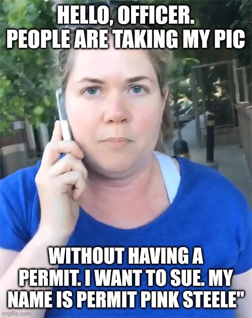 HELLO, OFFICER. PEOPLE ARE TAKING MY PIC; WITHOUT HAVING A PERMIT. I WANT TO SUE. MY NAME IS PERMIT PINK STEELE" | made w/ Imgflip meme maker