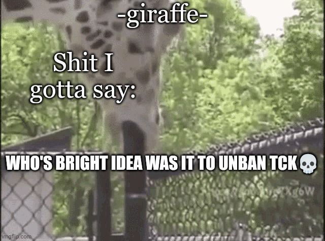 damn, common sitemod L | WHO'S BRIGHT IDEA WAS IT TO UNBAN TCK💀 | image tagged in -giraffe- | made w/ Imgflip meme maker