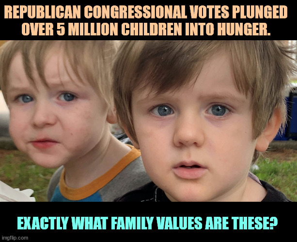 REPUBLICAN CONGRESSIONAL VOTES PLUNGED 
OVER 5 MILLION CHILDREN INTO HUNGER. EXACTLY WHAT FAMILY VALUES ARE THESE? | image tagged in children,hunger,hungry kids,republicans,fail | made w/ Imgflip meme maker