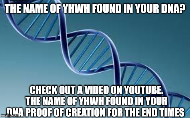 dna | THE NAME OF YHWH FOUND IN YOUR DNA? CHECK OUT A VIDEO ON YOUTUBE. THE NAME OF YHWH FOUND IN YOUR DNA PROOF OF CREATION FOR THE END TIMES | image tagged in dna | made w/ Imgflip meme maker