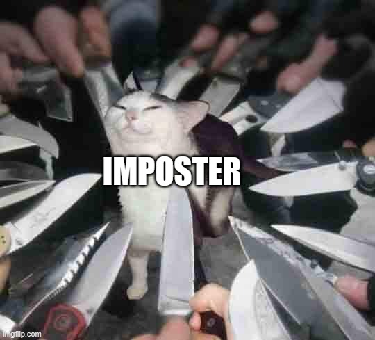 Knife Cat | IMPOSTER | image tagged in knife cat | made w/ Imgflip meme maker