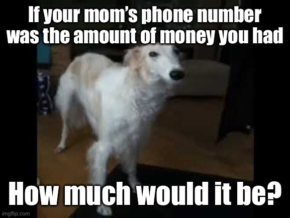 Low quality borzoi dog | If your mom’s phone number was the amount of money you had; How much would it be? | image tagged in low quality borzoi dog | made w/ Imgflip meme maker