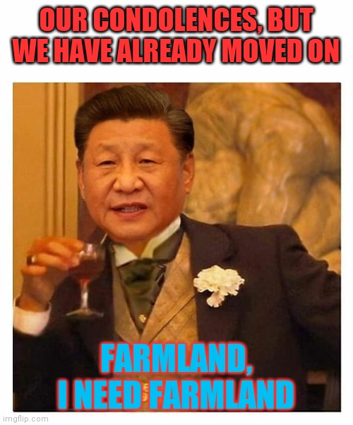 Xi Jinping Leo Laugh | OUR CONDOLENCES, BUT WE HAVE ALREADY MOVED ON FARMLAND, I NEED FARMLAND | image tagged in xi jinping leo laugh | made w/ Imgflip meme maker
