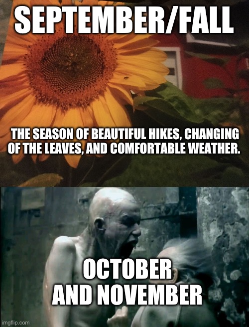 SEPTEMBER/FALL; THE SEASON OF BEAUTIFUL HIKES, CHANGING OF THE LEAVES, AND COMFORTABLE WEATHER. OCTOBER AND NOVEMBER | image tagged in fall has arrived 2019 | made w/ Imgflip meme maker