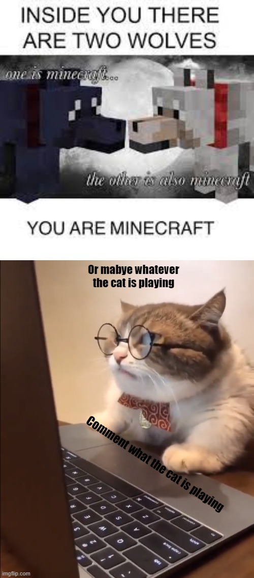 Only 918 points untill i can post on a 10,000 points stream | Or mabye whatever the cat is playing; Comment what the cat is playing | image tagged in research cat | made w/ Imgflip meme maker