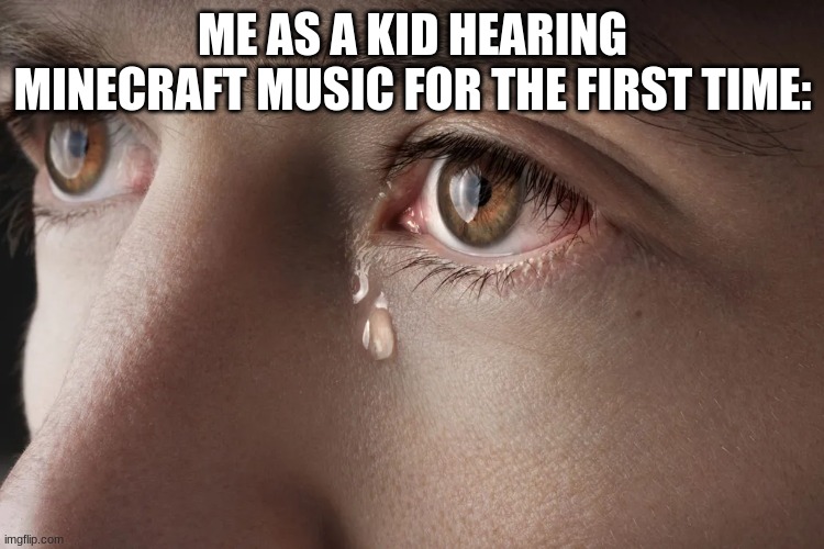 ME AS A KID HEARING MINECRAFT MUSIC FOR THE FIRST TIME: | image tagged in minecraft | made w/ Imgflip meme maker