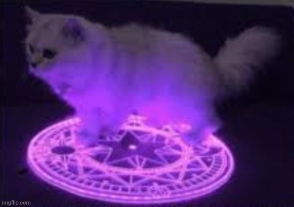 Cat Summoning | image tagged in cat summoning | made w/ Imgflip meme maker